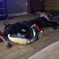 Thumbnail photo of Varian #4