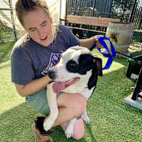 Thumbnail photo of Marco #1