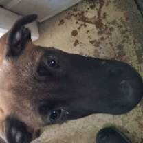 Thumbnail photo of SUNNY #3