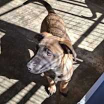 Thumbnail photo of SUNNY #4