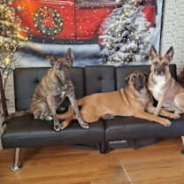 Thumbnail photo of SANDY #2