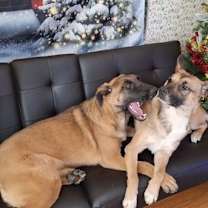 Thumbnail photo of SANDY #3