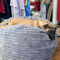 Thumbnail photo of TIDE #2