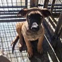 Thumbnail photo of SANDY #3