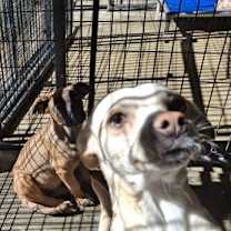 Thumbnail photo of SANDY #4