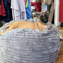 Thumbnail photo of TIDE #3