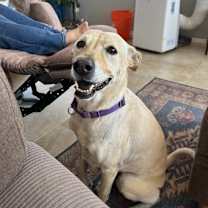 Thumbnail photo of Sky #1