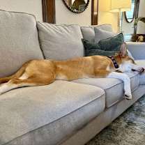 Thumbnail photo of ROGER #3