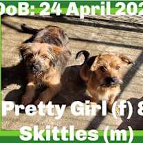 Thumbnail photo of SKITTLES & PRETTY-GIRL #3