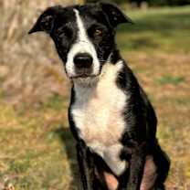 Thumbnail photo of Walter #1