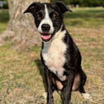 Thumbnail photo of Walter #2