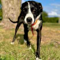 Thumbnail photo of Walter #3