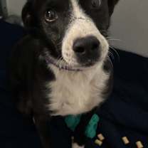 Thumbnail photo of Walter #4