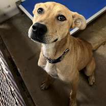 Thumbnail photo of Lucky #2