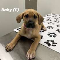 Thumbnail photo of Baby #3