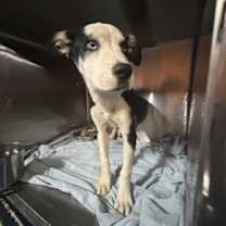 Thumbnail photo of Spot #3