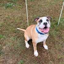 Thumbnail photo of Nita Kita #1