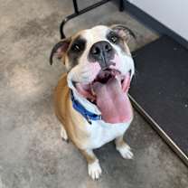 Thumbnail photo of Nita Kita #2