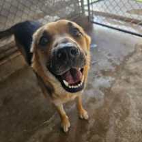 Thumbnail photo of Friday #3