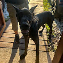 Thumbnail photo of Cash Money #2