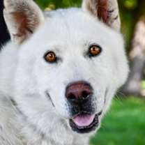 Thumbnail photo of Kurt #3