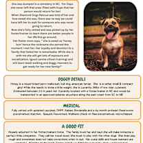 Thumbnail photo of Honey #4