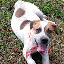 Thumbnail photo of Gavin #4