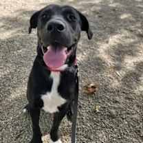 Thumbnail photo of X #2