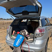 Thumbnail photo of Bubbles #3