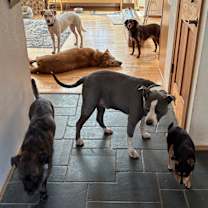 Thumbnail photo of Bubbles #4