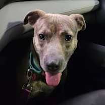 Thumbnail photo of Micky #2