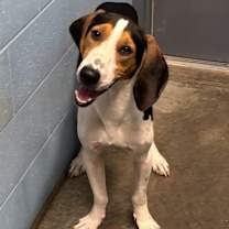 Thumbnail photo of Jude #2