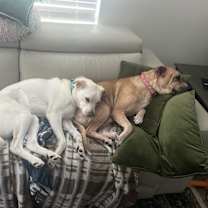 Thumbnail photo of Ash (Volcano) #4