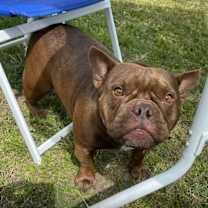 Thumbnail photo of Zelda #2