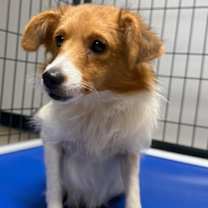 Thumbnail photo of Audrey #2