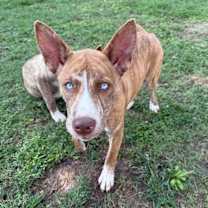 Thumbnail photo of Arianna #1