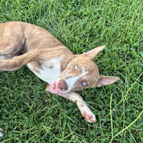 Thumbnail photo of Arianna #2