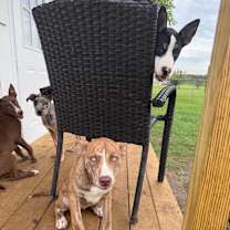 Thumbnail photo of Arianna #3