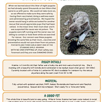 Thumbnail photo of Arianna #4