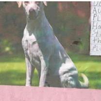 Thumbnail photo of Autumn #2