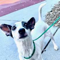 Thumbnail photo of Harris #2