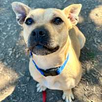 Thumbnail photo of Freya #1