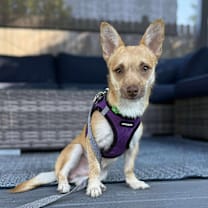 Thumbnail photo of Mort #1