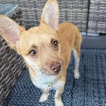 Thumbnail photo of Mort #3