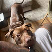 Thumbnail photo of Duke #4