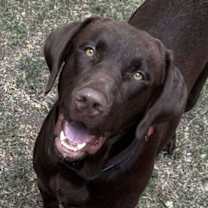 Thumbnail photo of Locke #1