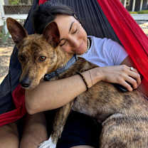 Thumbnail photo of Sunny #4