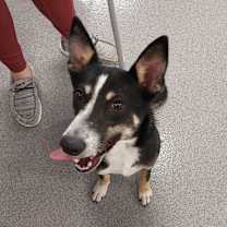 Thumbnail photo of Gabi #3