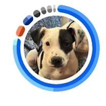 Thumbnail photo of Proctor #2