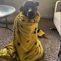 Thumbnail photo of MISSY FOSTER #2